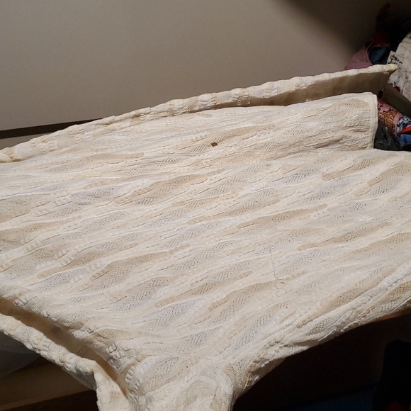 Coogie. Flash - Picture 10 of 12